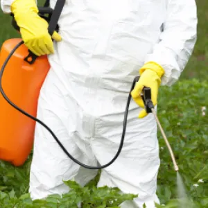 Jūs vērtējat šos 11 bioloģiskos un ķīmiskos insekticīdus kā labākos