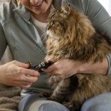 Fiskars Kliešte na pazúry malé Pet Care 2009130