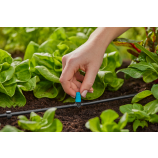 Gardena rindveida smidzinātājs nelielām platībām