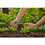 Gardena rindveida smidzinātājs nelielām platībām