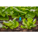 Gardena rindveida smidzinātājs nelielām platībām