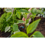 Gardena MDS rindas pilinātājs 2 l/h 13317-20