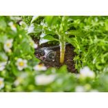 Gardena MDS rindas pilinātājs, spiediena izlīdzinātājs