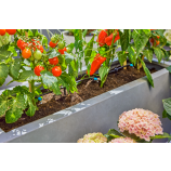 Gardena Micro-Drip-System sākuma komplekts terasēm / 30 augiem