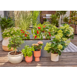 Gardena Micro-Drip-System sākuma komplekts terasēm / 30 augiem