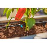 Gardena Micro-Drip-System sākuma komplekts terasēm / 30 augiem