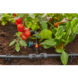 Gardena T-veida savienotājs 1/2" – 3/16"