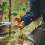 Fiskars Universālās šķēres, 21 cm 1075031