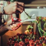 Fiskars universālās šķēres kreisās rokas lietošanai, 21 cm 1075035