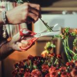 Fiskars universālās šķēres kreisās rokas lietošanai, 21 cm 1075035