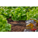 Gardena T-veida savienotājs smidzināšanas sprauslām / galējām pilinātājsprauslām 4,6 mm (3/16")