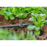 Gardena T-veida savienotājs smidzināšanas sprauslām / galējām pilinātājsprauslām 4,6 mm (3/16")
