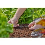 Gardena T-veida savienotājs smidzināšanas sprauslām / galējām pilinātājsprauslām 4,6 mm (3/16")