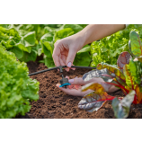 Gardena T-veida savienotājs smidzināšanas sprauslām / galējām pilinātājsprauslām 4,6 mm (3/16")