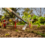 Gardena dārza lāpsta PureLine FSC® 100 %