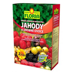 Floria zemenes un citi mazie augļi