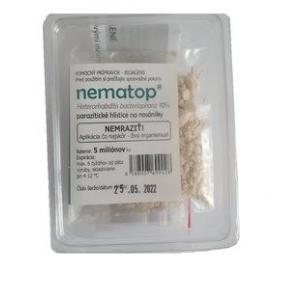 Nematop parazītiskās nematodes pret grauzēju kāpuriem