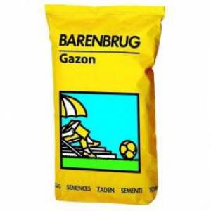 Barenbrug zāliens