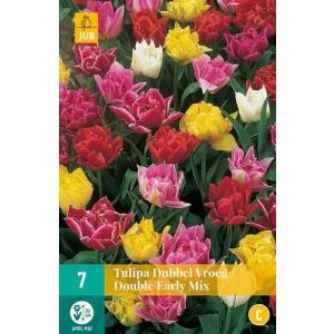 Tulpe Double Early mix 'C'