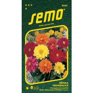 Sēklas Georgina Variable Compact Low Mix 1g