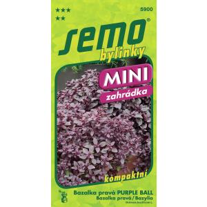 Semo Basil Purple Ball 20s.