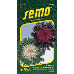Sēklas kāposti dekoratīvie Peacock F1 mix 20s