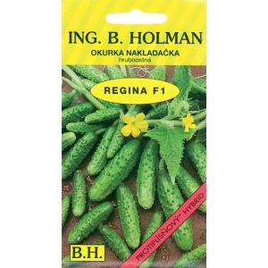 Gurķis Holman Regina F1 hr