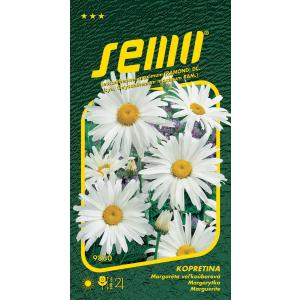 Semo Daisy balta Shasta Daisy 0,8 g