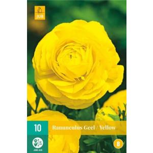 Atraitnene Ranunculus Ranunculus Dzeltenais 'B'