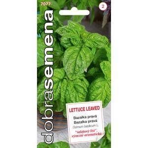 Labas sēklas Baziliks Lapu salāti Lapu salāti Lapu plati. sal. 0,8g