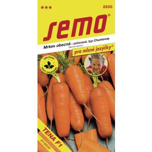 Burkānu sēklas Burkāni Tena F1 pusvēlīgi 1,3g