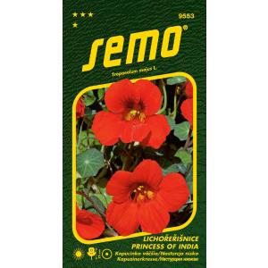 Semo Cappuccino lielāks Princess of India 2g