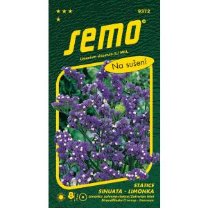 Citronu sēklas Statica sinuata Tumši zils violets 0,5g