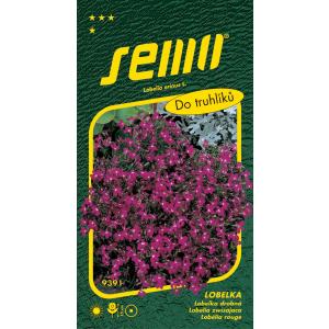 Sēklas Cascade sarkanā pārkarusā skullcap 0,25g