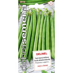 Labas sēklas Krūmu pupiņas Delinel 10g