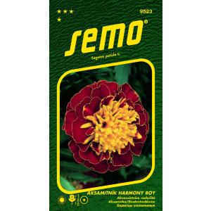 Semo Velvetleaf Harmony Boy 30s