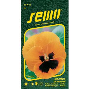 Sēklu dārza atraitnītes oranžā krāsā ar acīm 0,3g