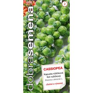 Labas sēklas Kale Cassiopea 0,7g