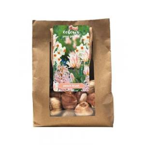Maisiņš Izkrāsojiet savu dārzu Peach blush 25 sīpoli