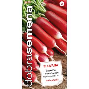 Labas sēklas Sarkans un balts Slovana redīsi 4g