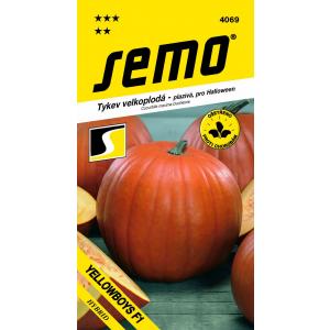 Sēklas Yellowboys F1 Halloween 3g