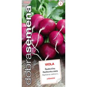 Labas sēklas Violeta redīsi Viola daudzgadīgs 4g