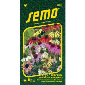 Echinacea purpurea sēklas Paradiso 12s