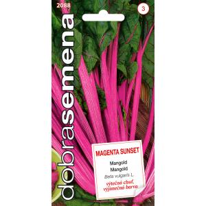 Labas sēklas Mangold Magenta Sunset 2,5 g