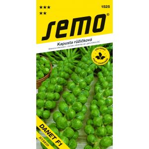Kale sēklas Danet F1 50s