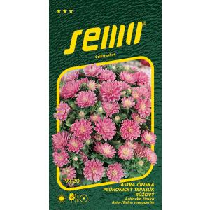 Sēklas Astra china Pinokio rozā 0,3g