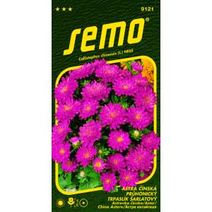 Sēklas Astra china Pinocchio scarlet 0,3g