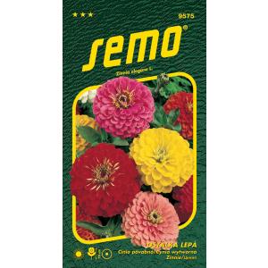Sēklas Spurge lipīgs Geant de California maisījums 0,7 g