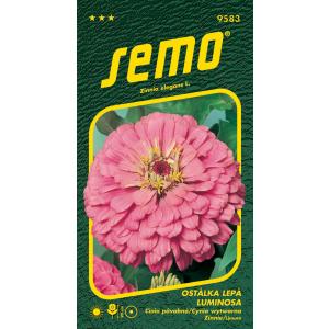 Sēklas Spurge Luminosa rozā 0,7 g