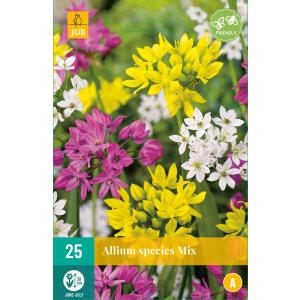 Ķiploki Allium Sugu maisījums 'B'